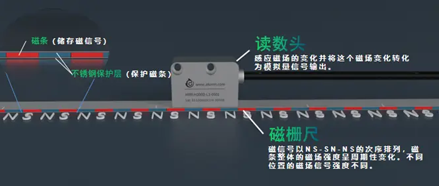 磁柵尺可以配幾個讀數頭？